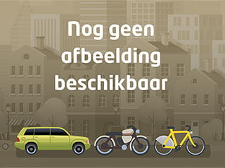 VMG Elegance NX8 FM Zilver Stadsfiets Dames E-bike bij viaBOVAG.nl